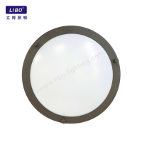 LED Flush Mount Ceiling Light Fixture Dimmable CL-01
