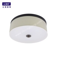 Smart Home Dimmable LED Ceiling Lights