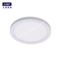 Luxury Dimmable Lighting Fixture Led Ceiling Lights DL-5M-10F
