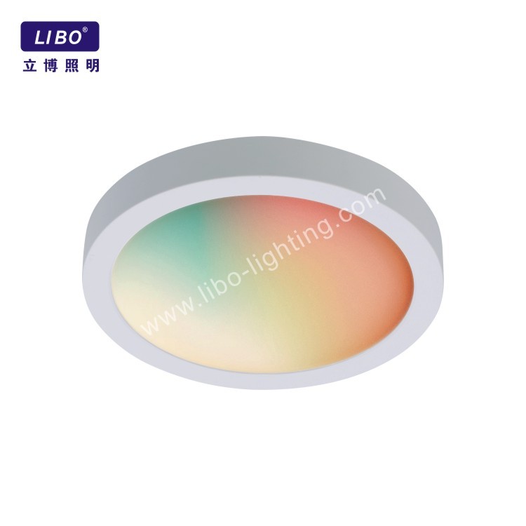 Modern Style RGB Color Change WIFI Control LED Ceiling Lights DL-7-14FPC