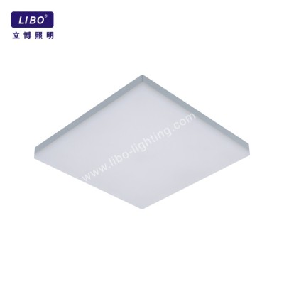 New Style LED Ceiling Lamp Simple Decorative Light DL-5A-10SC