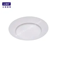 Surface Mounted LED Disk Light DL-DCB