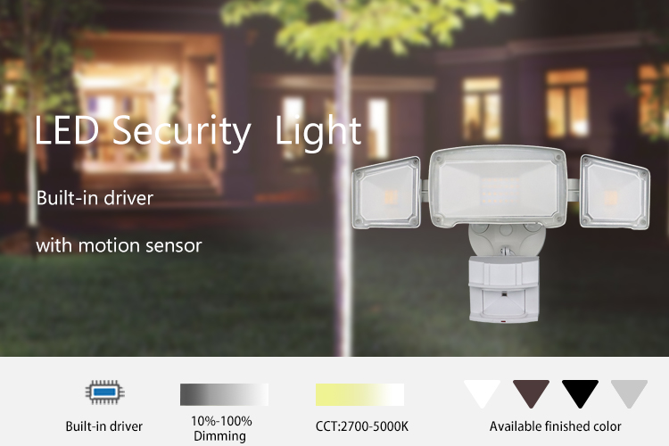 Econic outdoor wall light