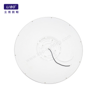 Modern Style RGB Color Change WIFI Control LED Ceiling Lights DL-7-14FPC