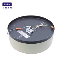 Smart Home Dimmable LED Ceiling Lights