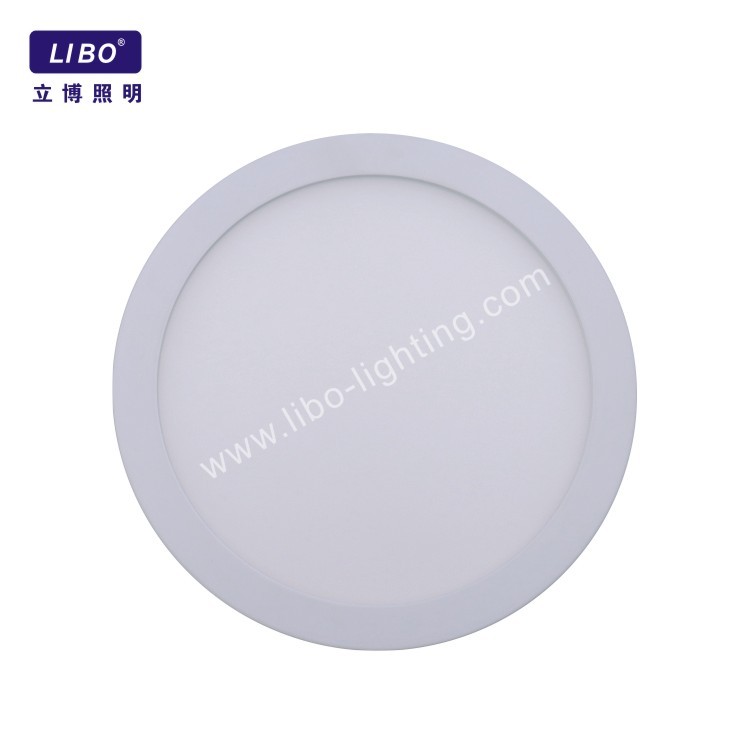 Luxury Dimmable Lighting Fixture Led Ceiling Lights DL-5M-10F
