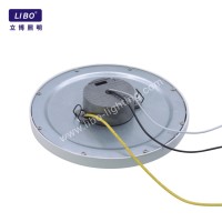 Luxury Dimmable Lighting Fixture Led Ceiling Lights DL-5M-10F