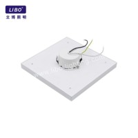 Llum de sostre LED d'estil nou Llum decorativa simple DL-5A-10SC