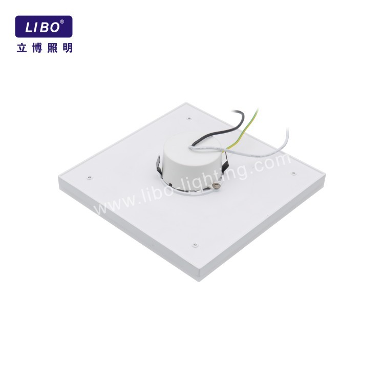 Llum de sostre LED d'estil nou Llum decorativa simple DL-5A-10SC