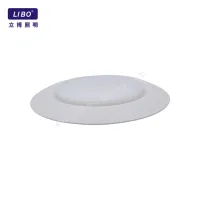 Surface Mounted LED Disk Light DL-DCB