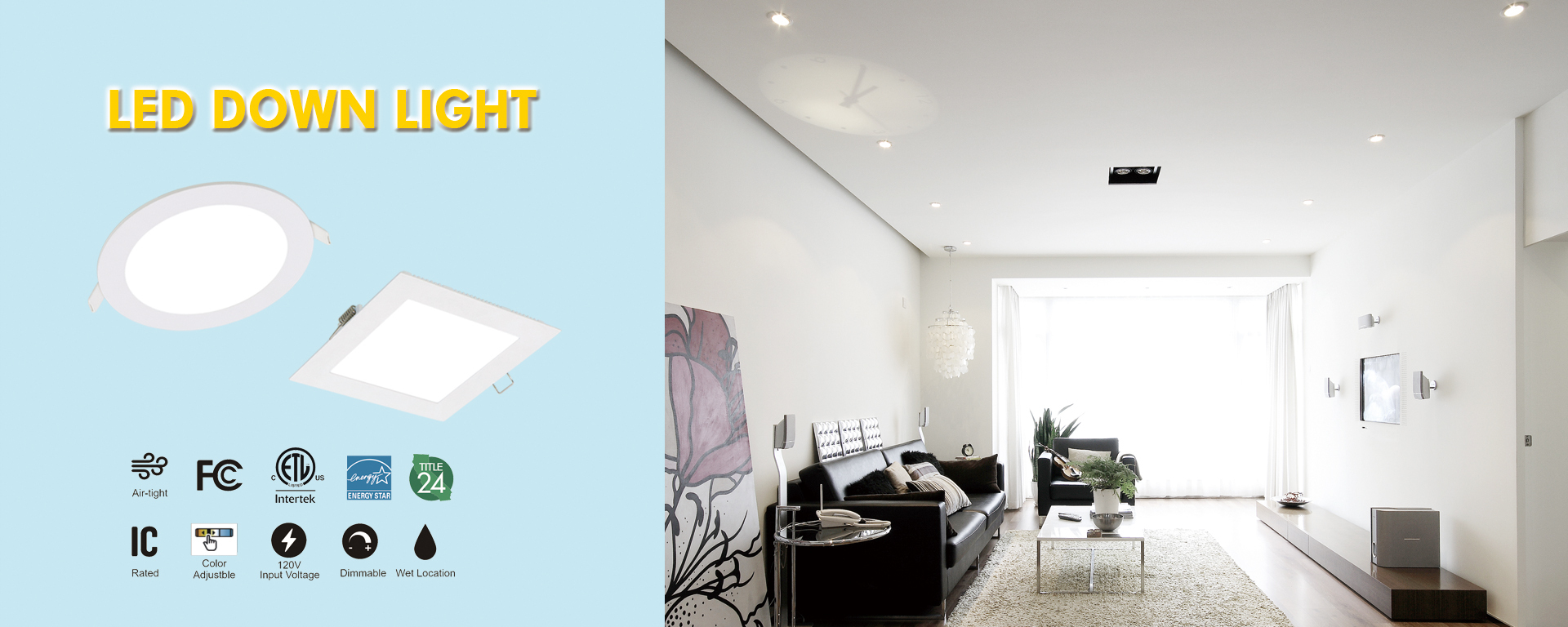 LED Down Light