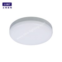 Wohnzimmer-LED-Deckenleuchte CL-14