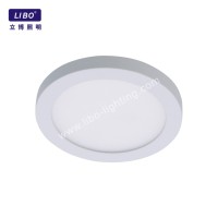 Водонепроницаемый поверхностный современный светодиодный потолочный светильник ДЛ-4-11SP