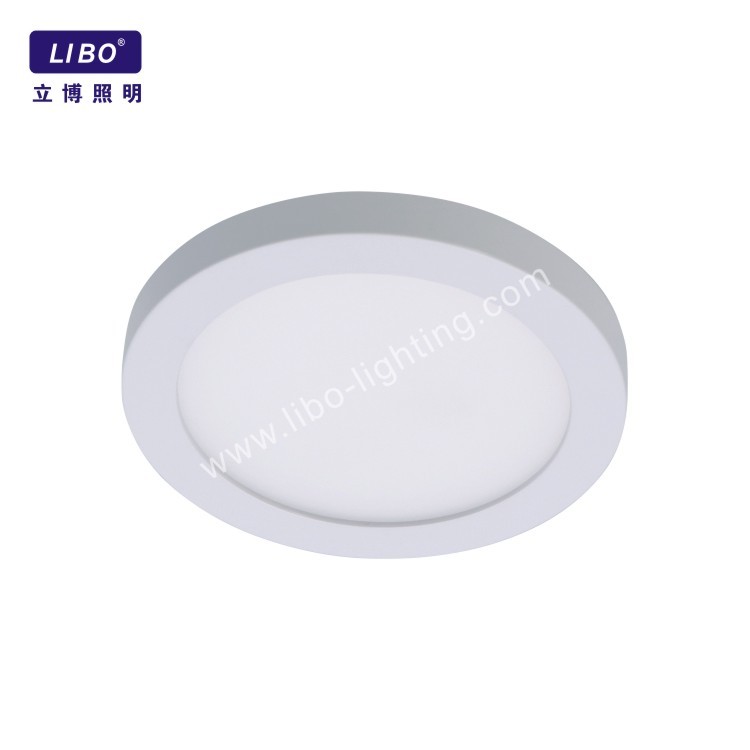 Водонепроницаемый поверхностный современный светодиодный потолочный светильник ДЛ-4-11SP