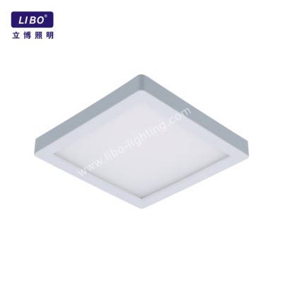Husdekoration CE Rohs LED-taklampa DC-5.5C-12FC