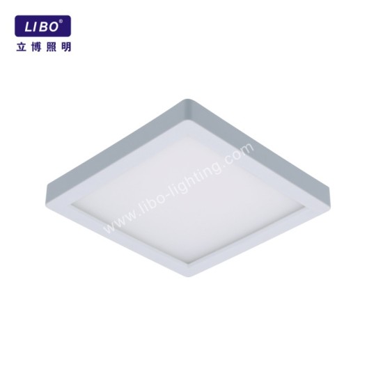 Domácí dekorace CE Rohs LED stropní svítidlo DC-5.5C-12FC