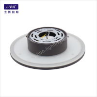 Il·luminació de paret exterior única per al jardí