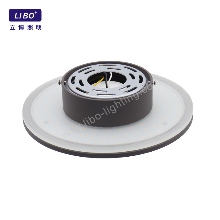 Il·luminació de paret exterior única per al jardí