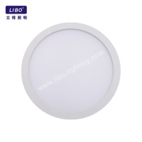 Round Ceiling Light Flush Mount CL-07