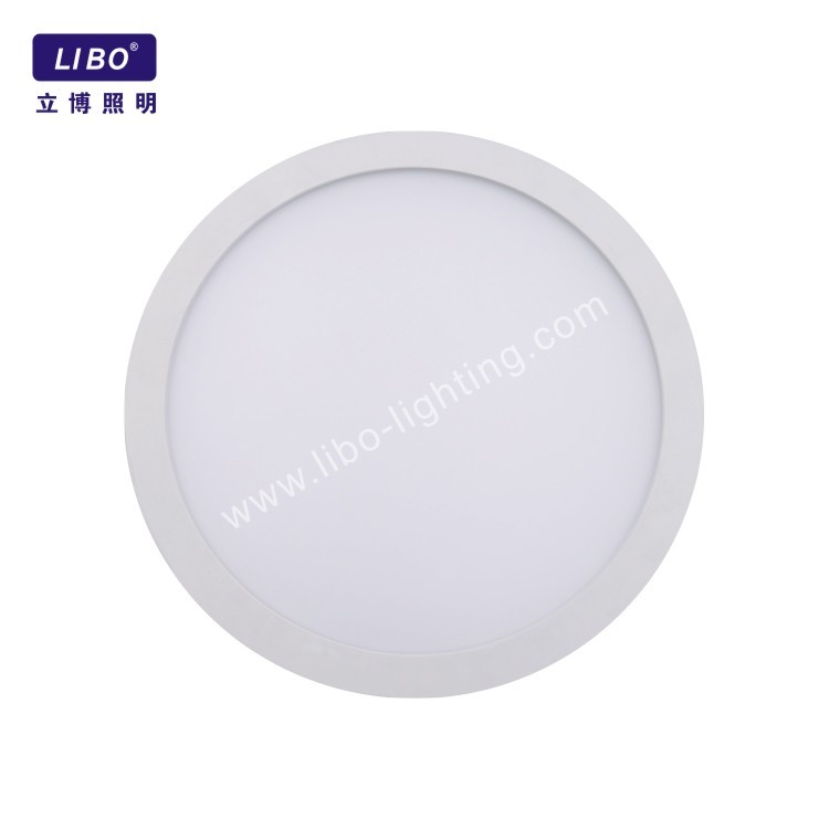 Round Ceiling Light Flush Mount CL-07