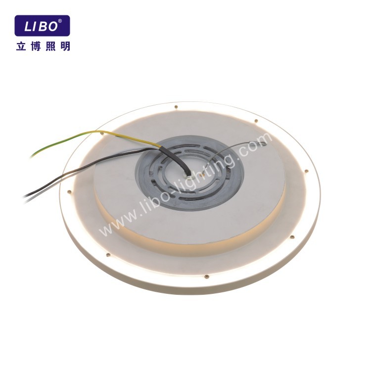 Round Ceiling Light Flush Mount CL-07