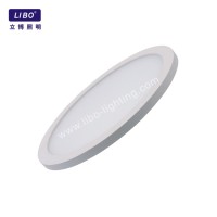 Round Ceiling Light Flush Mount CL-07