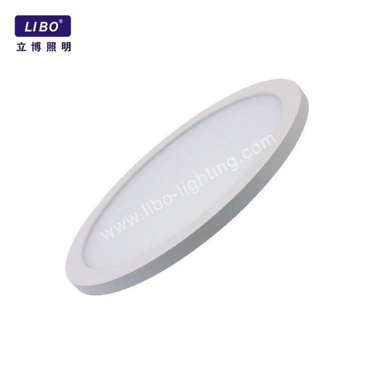 Round Ceiling Light Flush Mount CL-07
