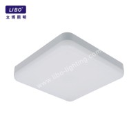 Wohnzimmer-LED-Deckenleuchte CL-14