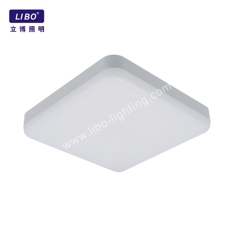 Wohnzimmer-LED-Deckenleuchte CL-14