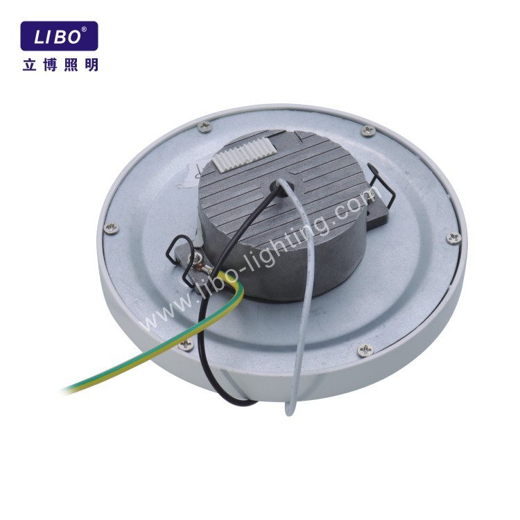 Водонепроницаемый поверхностный современный светодиодный потолочный светильник ДЛ-4-11SP