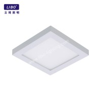 Водонепроницаемый поверхностный современный светодиодный потолочный светильник ДЛ-4-11SP