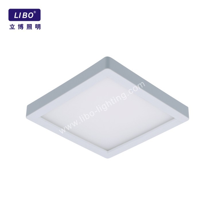 Dimmable Led Round Panel Light DL-5.5C-12FC SC