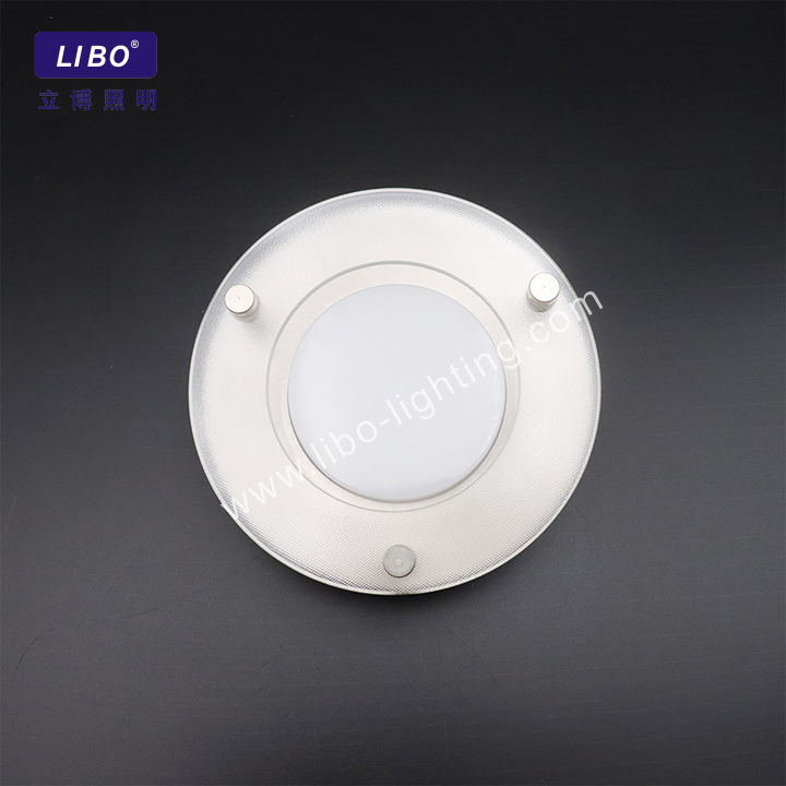 Indoor Decoration Round Modern Led Ceiling Lamp DL-5.5-12AC