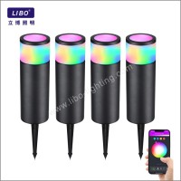 LED landscape Light RGB HC-11