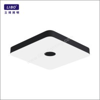led ceiling light RGB+TW HF-01
