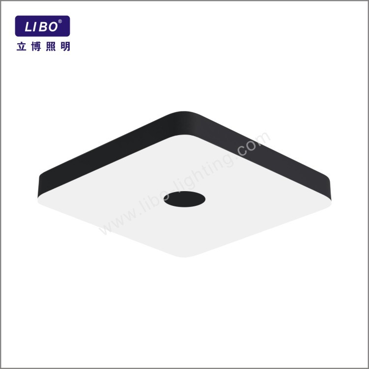 led ceiling light RGB+TW HF-01