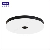 led ceiling light RGB+TW HF-01