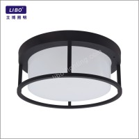 led ceiling light RGB+TW HF-02