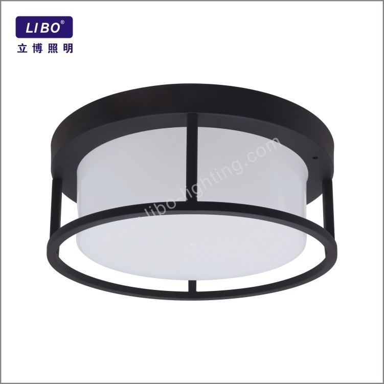 led ceiling light RGB+TW HF-02