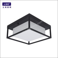 led ceiling light RGB+TW HF-02