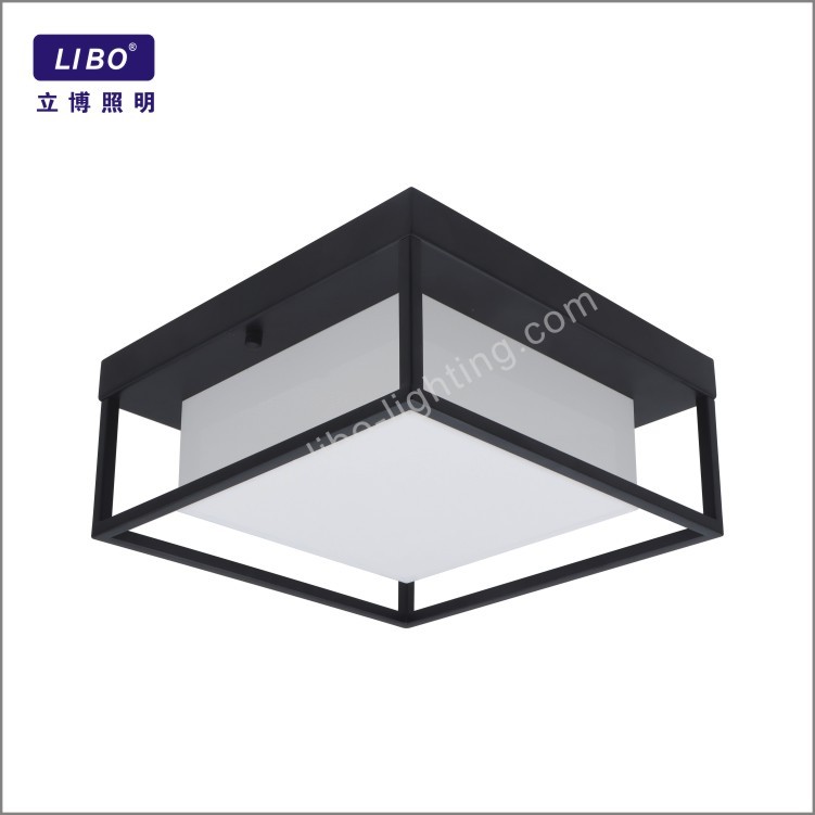 led ceiling light RGB+TW HF-02