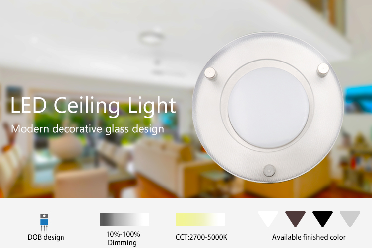 Ceiling mount LED light