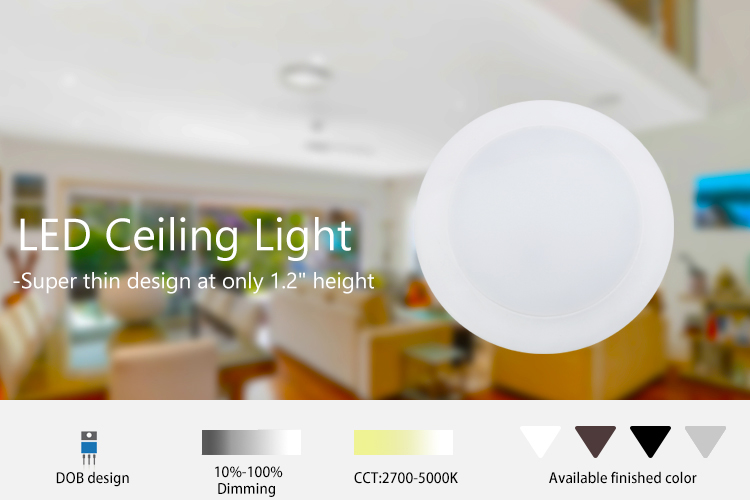 Disk light indoor