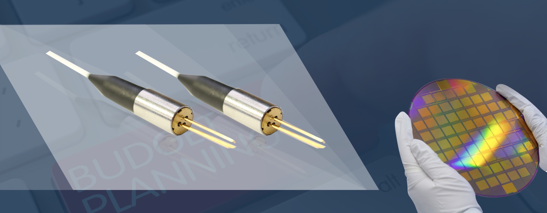 Pulse Laser, Butterfly laser, Photodetector Module Suppliers Xiamen