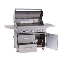 304 Stainless Steel Freestanding Gas Grill