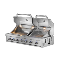 Barbecue encastrable en acier inoxydable à double hotte à 6 brûleurs CBU-601(DH)-B