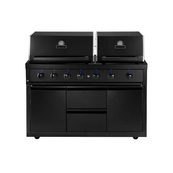 Zwart roestvrijstalen dubbele afzuigkap 6-pits BBQ-keuken CBU-601(B)(DH)-T