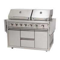 Twin Hood 6 Burner BBQ Kitchen CBU-601(DH)-T