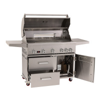 304 Stainless Steel Freestanding Gas Grill