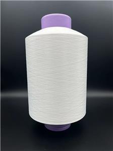 One-step AB Yarn Nylon+polyester Fancy Yarn Composite Yarn